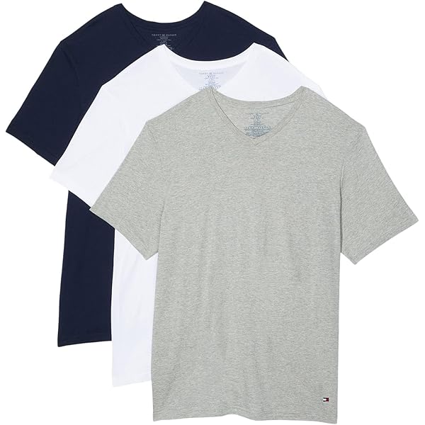TOMMY HILFIGER Men's Slim Fit V-Neck T-Shirt (Grey, S) | Amazon.com